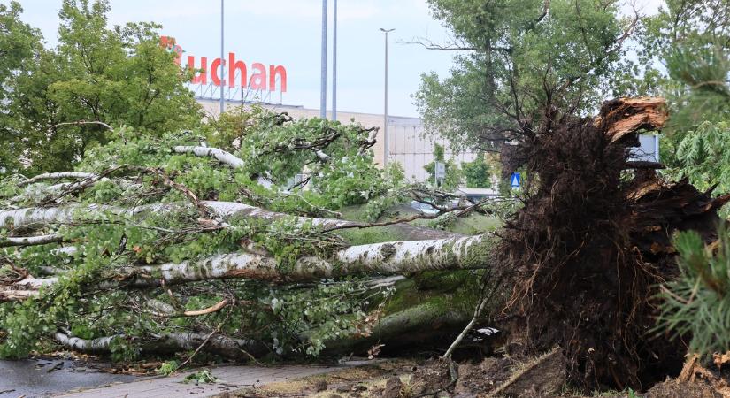 Közel 3000 helyre riasztották a tűzoltókat kedd reggelig