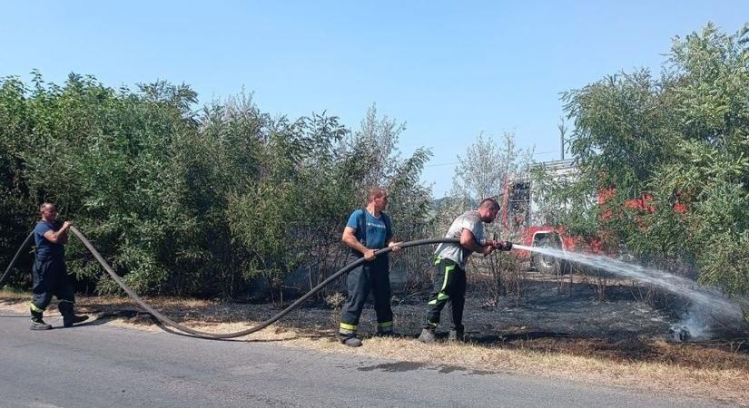 Három tűz is fellobbant egyetlen nap alatt Ásotthalomnál, a helyiek és tűzoltók közösen küzdöttek meg a terjedő lángokkal