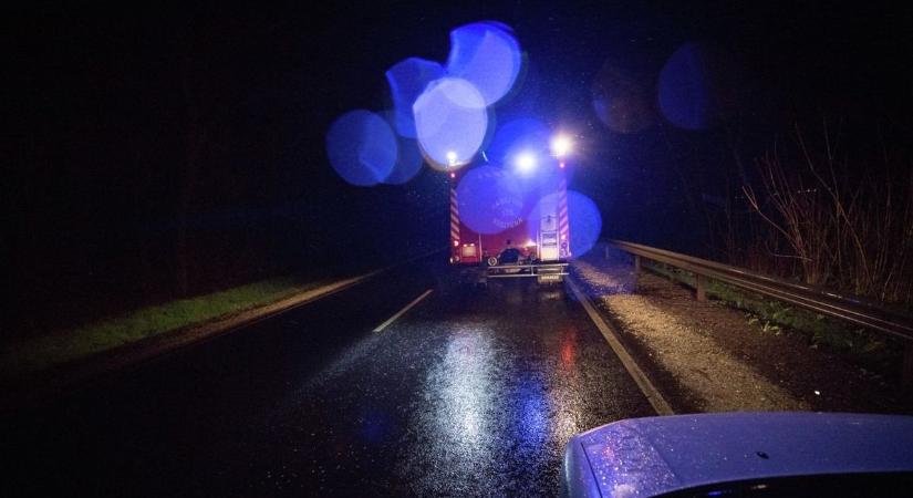Kiszáradt fa dőlt a 87-es főútra Kőszegnél