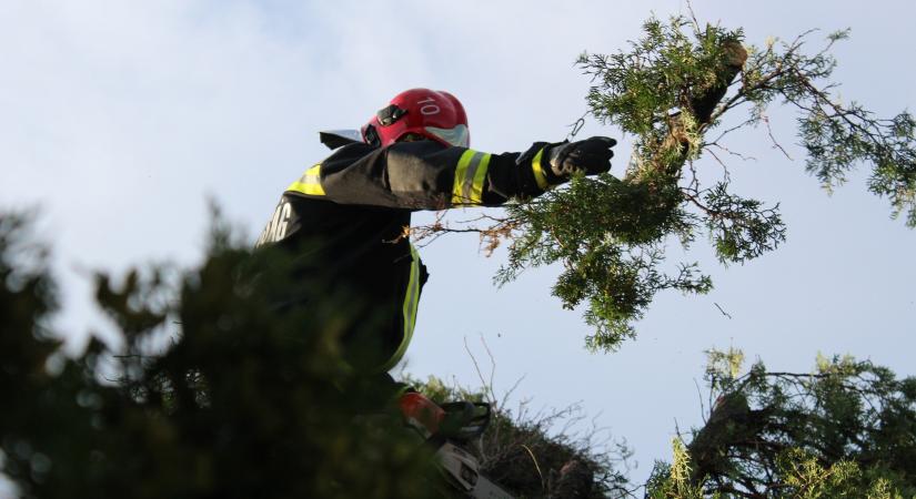 Közel háromezer viharkárt számolt fel a katasztrófavédelem kedd hajnalig
