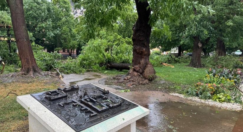 Szegeden és Vásárhelyen volt a legtöbb tűzoltói beavatkozás