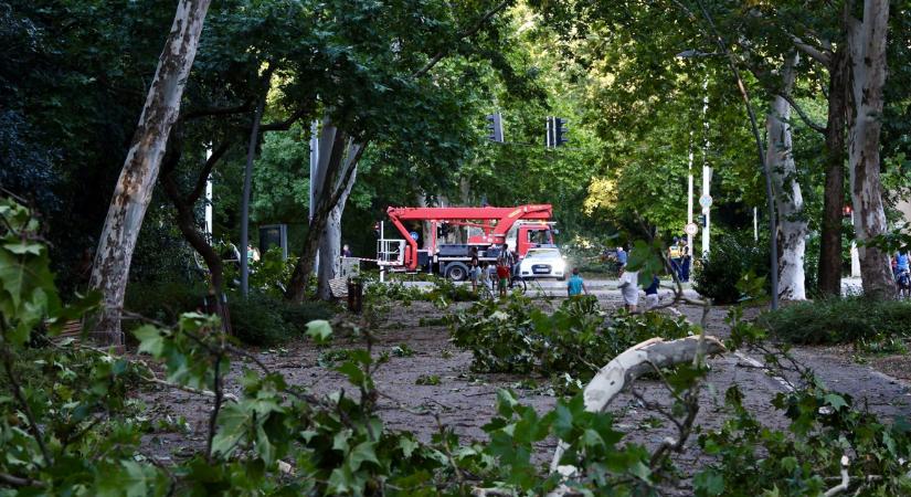 Döbbenetes számot közölt a Katasztrófavédelem a viharkárokról