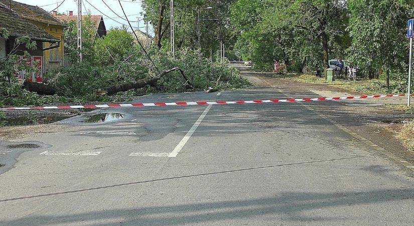 Orkán erejű szél pusztított Szegeden és Vásárhelyen, több mint 800 segélyhívás érkezett