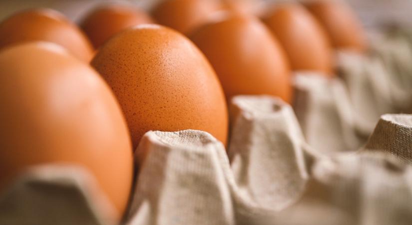 Előbb volt a tojás, aztán a büntetés
