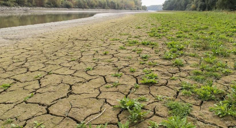 Aggasztó elemzés: hazánk Európa leggyorsabban melegedő és száradó térségei közé tartozik