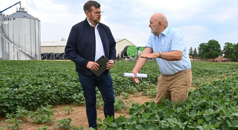 Ingyenes öntözővizet a termelőknek!