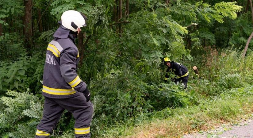 Ahogy elvonult a vihar, úgy dőltek a fák Somogyban – fotók