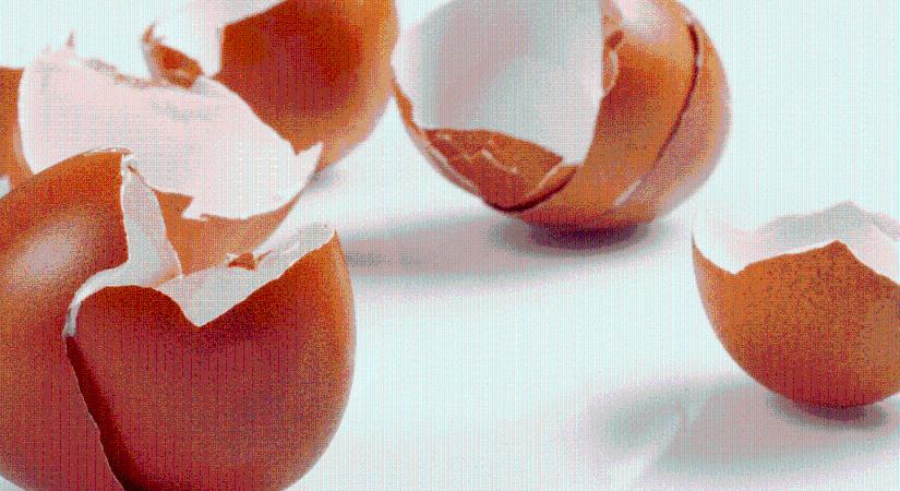 Tojáshéjon lépkedni otthon – mit jelent az „eggshell parenting”, és miért érdemes beszélnünk róla?