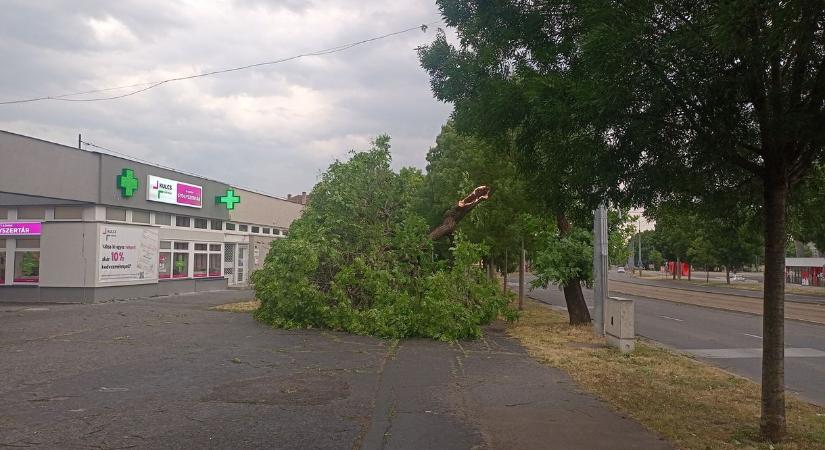 Öt perc alatt letarolta Miskolcon Bulgárföldet a vihar