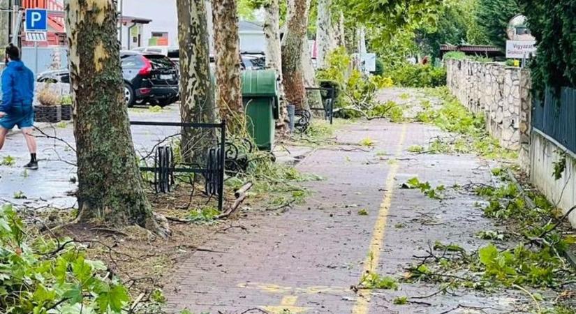 Vonatpótlás, leszakadt vezetékek a vihar miatt – Tolna is érintett (videóval)