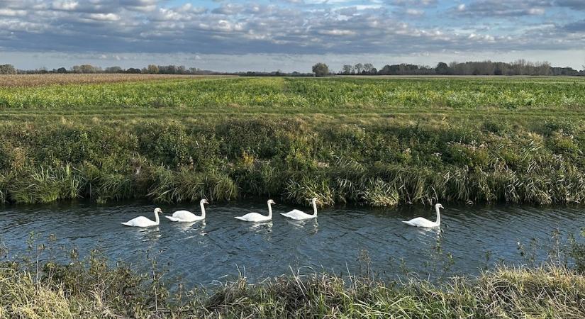 Szakértői tanulmány segítheti a Szigetköz fejlődését