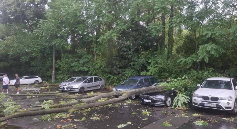 A vihar jelentős károkat okozott, lezárják az Óbudai-sziget egyes részeit