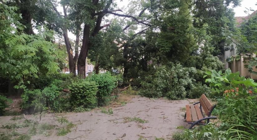 Évtizedek óta nem láttak ilyet a Sárréten