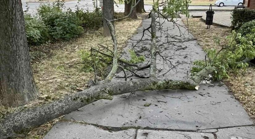 Mezőtúrra is lecsapott a brutális vihar, képeken mutatjuk a pusztítást