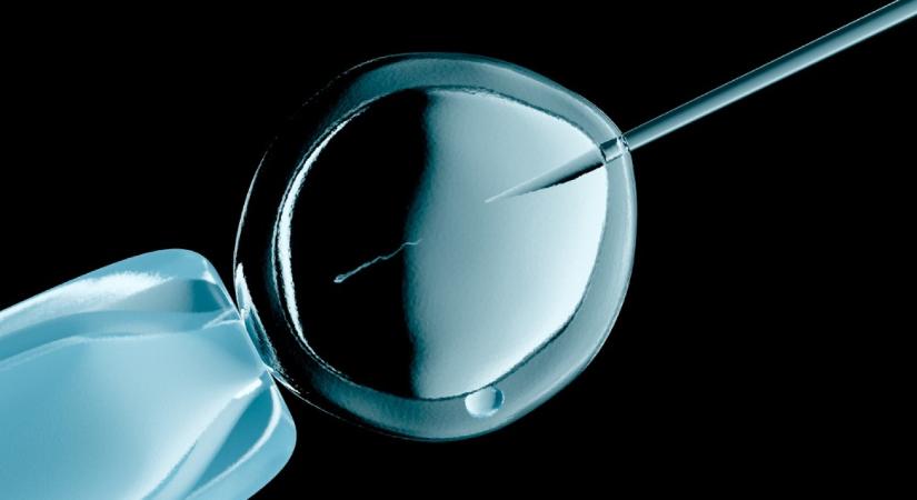 Már hét éven belül jöhet a mesterséges sperma és petesejt, ami alapjaiban változtathatja meg a termékenység jövőjét