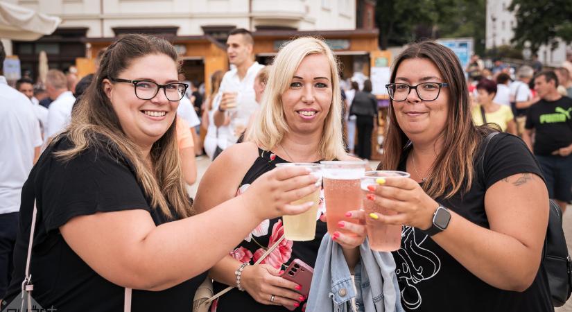Mutatjuk a Győri Rotary Fröccsnapok idei programját!