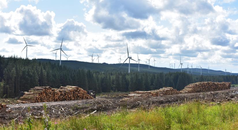 Bejelentették Ausztrália legnagyobb akkus energiatárolóját