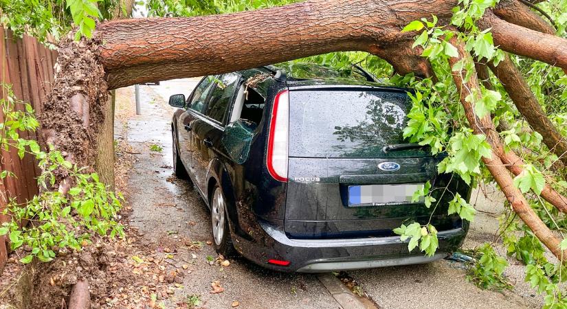 Önt érte bármilyen kár a vihar miatt?