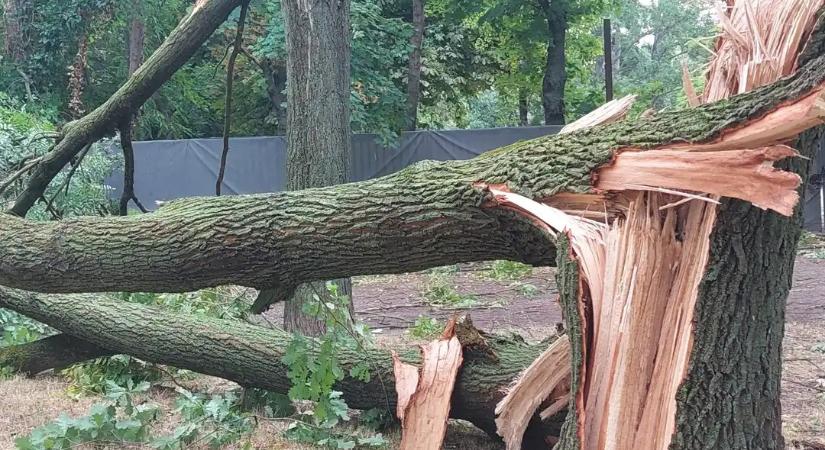 Lezárták az Óbudai-szigetet!