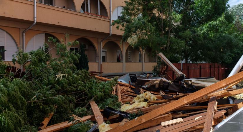 Leszakította egy szegedi egyetemi épület tetejét a vihar, a füvészkertben is hatalmas károkat okozott