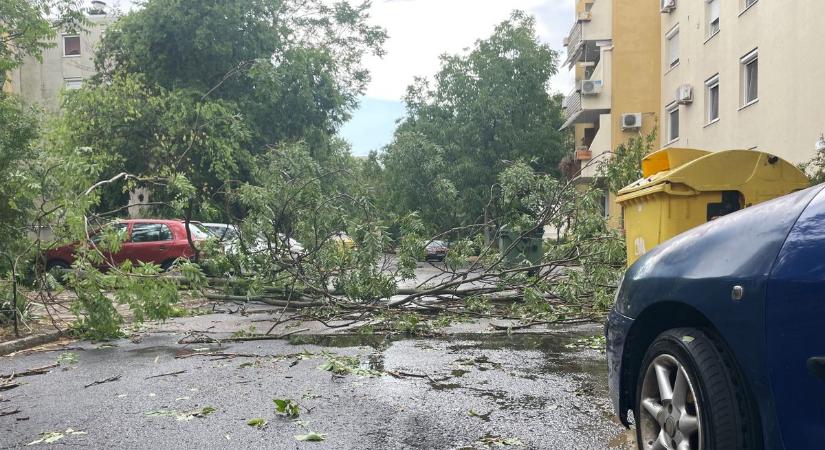 Újabb viharhullám közeleg, a hétfői károk után ismét veszélyben Szeged