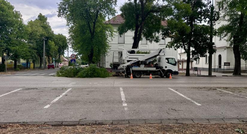 Letarolta a vihar Csongrádot is, órákig áram nélkül maradtak a lakók – galériával
