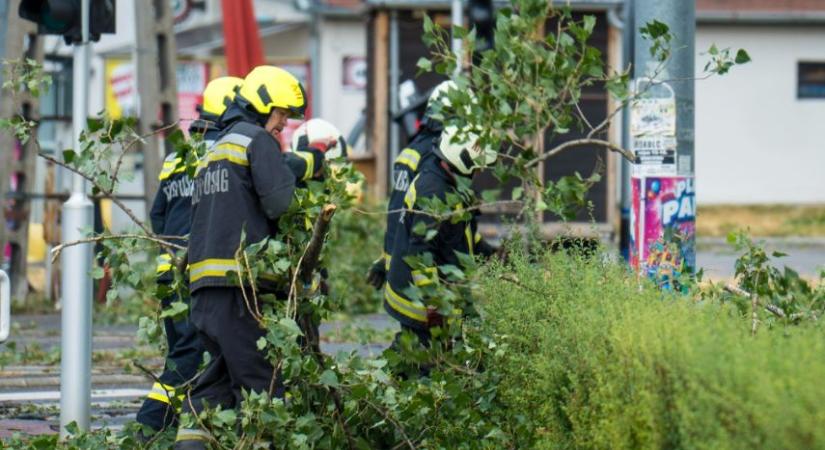 Miskolc polgármestere köszönetet mondott