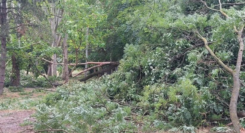 A viharkárok miatt lezárták a Hajógyári-szigetet – fotók