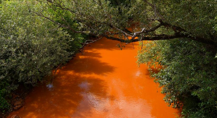 Sajó-szennyezés: elutasították a horgászszövetség panaszát, nem keresnek felelőst