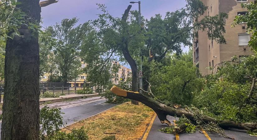 Újabb ítéletidő csaphat le Hajdú-Biharra? Már narancs riasztás van érvényben
