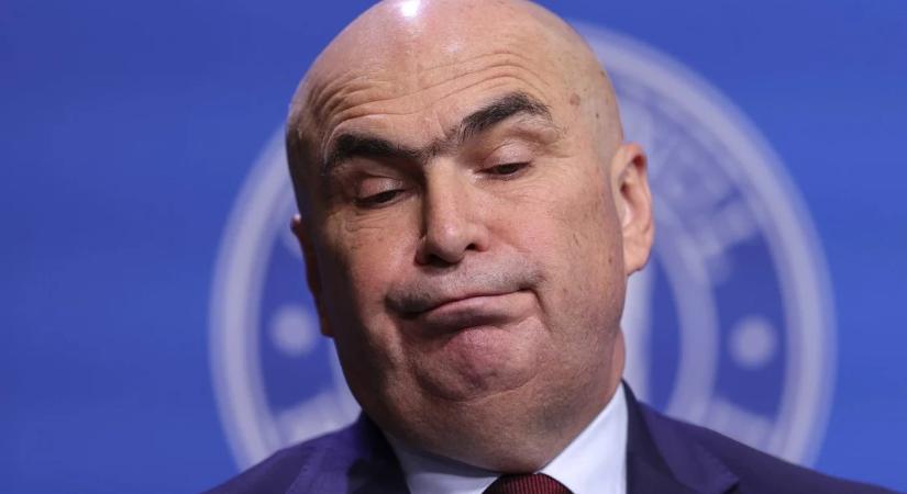 Juhok a búzamezőben