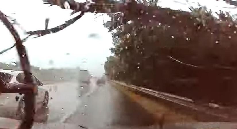 Videón a pillanat, amikor a hétfői viharban egy hatalmas fa zuhant egy autóra az M7-esen