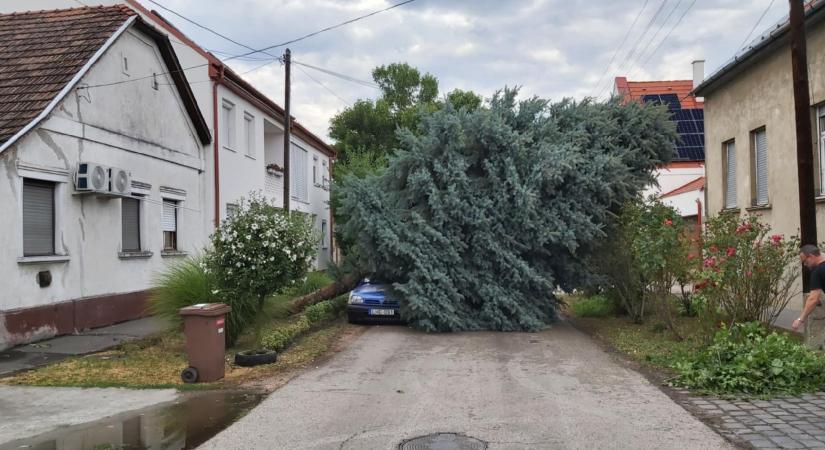 Tarolt a vihar Magyarországon – Sokba kerülhet az egyre szélsőségesebb időjárás