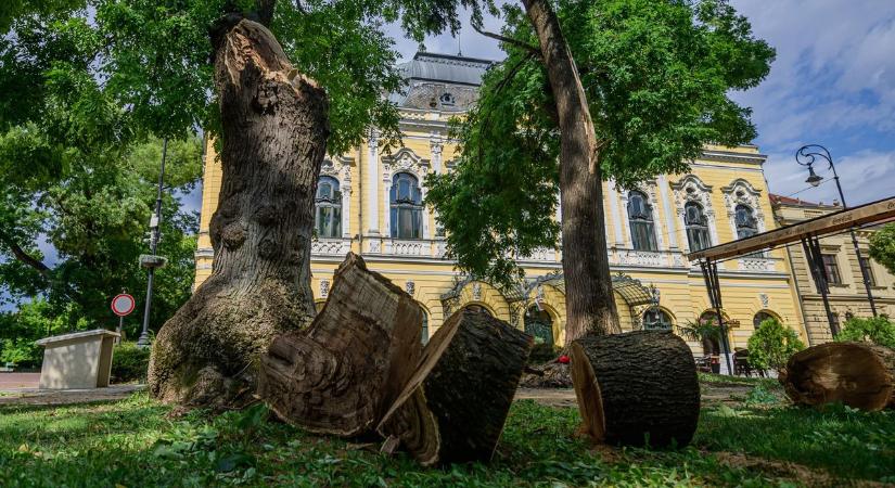 Kórház, strand, iskolák: nem volt olyan része a Hódmezővásárhelyen, amit ne ért volna el a vihar – galériával