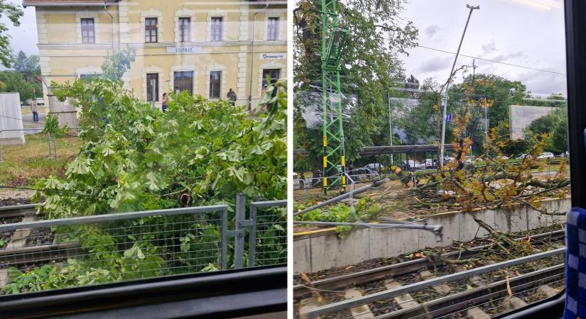 Az esztergomi vonalon ismét korlátozás nélkül közlekedhetnek a vonatok
