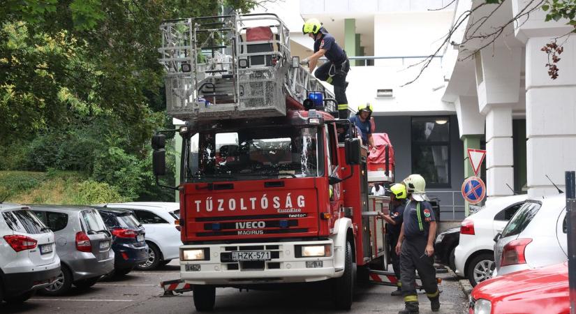 Veszélyes fák miatt riasztották a tűzoltókat egy belvárosi bankhoz