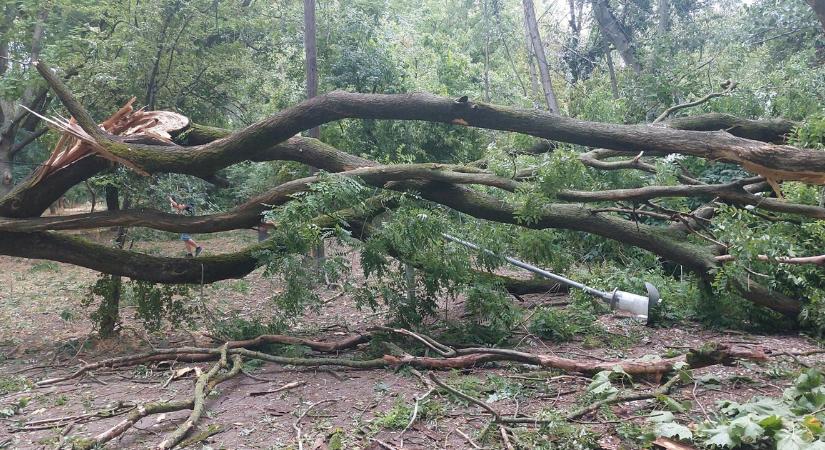 Viharkárok miatt több napra lezárják az Óbudai-szigetet