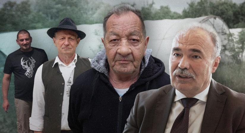 „Ha a feleségem nem dolgozik, mi éhen halunk” – ötödik éve pusztít a madárinfluenza