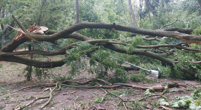 Lezárták az Óbudai-szigetet! Fotókon a vihar pusztítása, ami életveszélyessé tette a területet