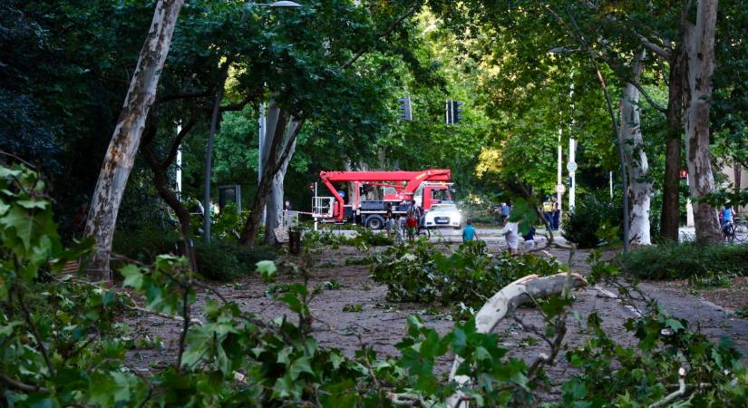 Óriási viharkárok: ma is rengeteg helyről érkezett bejelentés