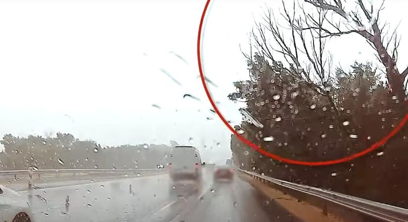 Horrorisztikus videó: menet közben dőlt rá egy fa az M7-esen haladó autóra