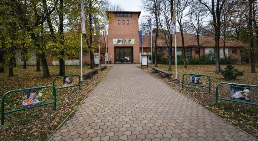 Még a Vadasparknak is be kellett zárnia a hétfői vihar miatt