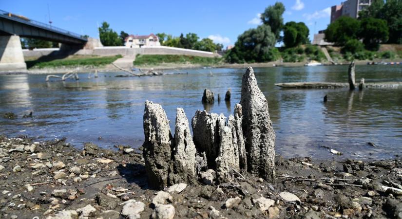 Soha nem látott szárazság a Tisza magyarországi szakaszán: az államtitkár elmondta, mi lesz az ivóvízzel – jön már a változás