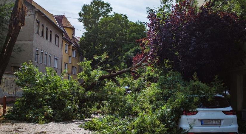 Nem meglepő: a vihar után meredeken ívelt fel az ingatlan- és gépjárműbiztosítások megkötéseinek száma