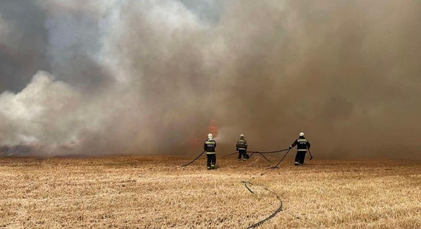 A gabonát felgyújtjuk, az esőtől megfulladunk – de ki a hibás?