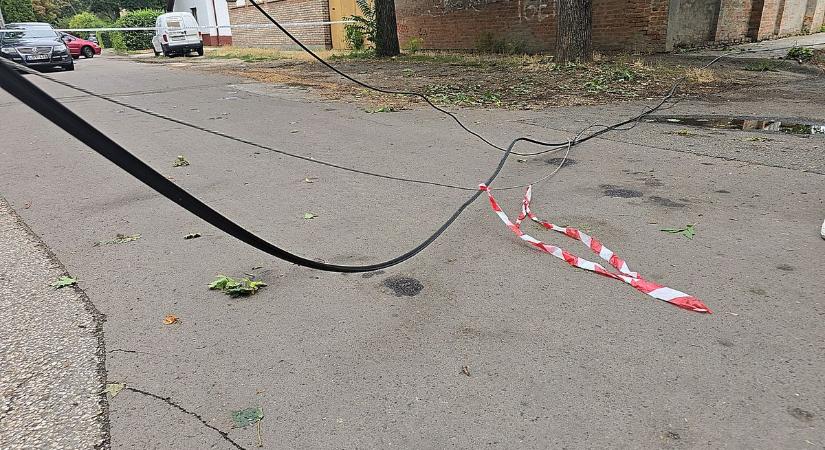 Letarolta a vezetékeket a kukásautó Csongrádon – galériával