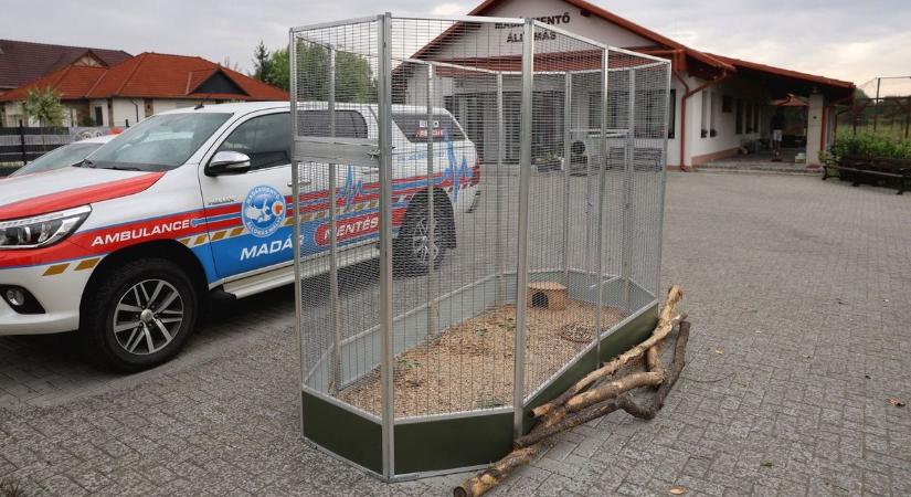 Még a madármentőket is menteni kellett - képek, videó