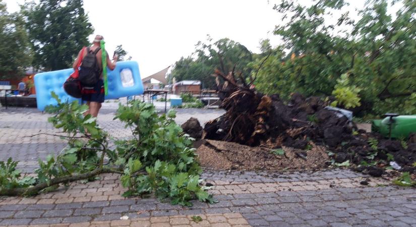Közel negyvenezer háztartásban délután sem volt áram