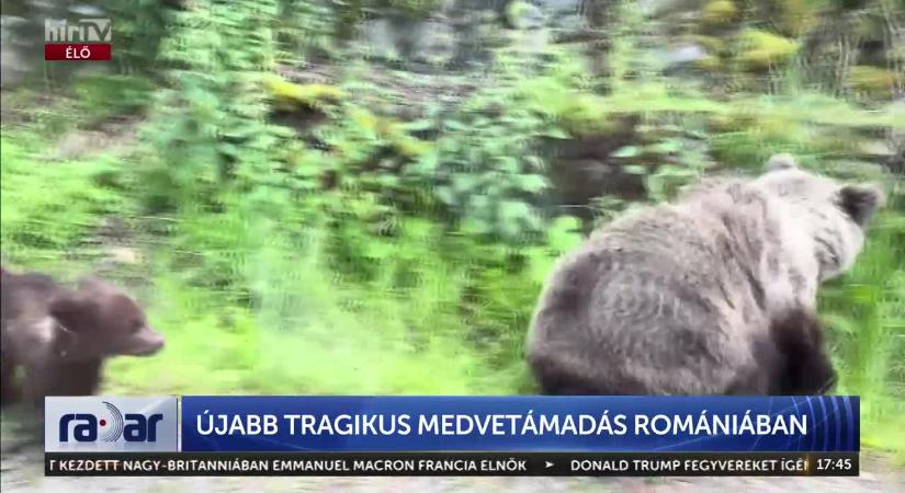 Radar - Újabb tragikus medvetámadás  videó