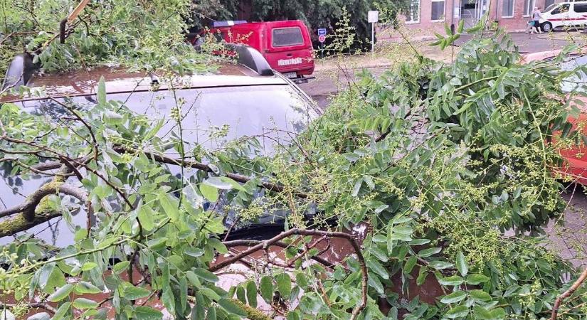 Átszakadt egy gázvezeték Szolnokon, a szolgáltatóhoz futott be a riasztás